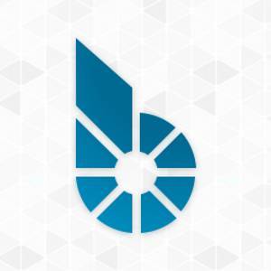 BitShares BTS kopen met Creditcard